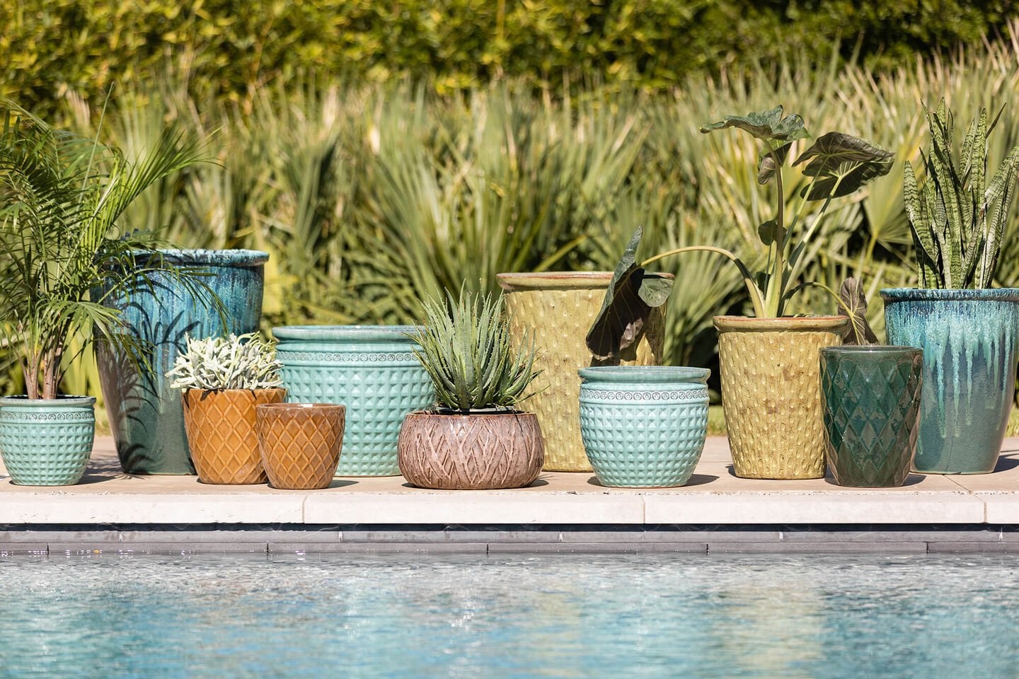 an assortment of planters lined up next to a pool with plants in them
