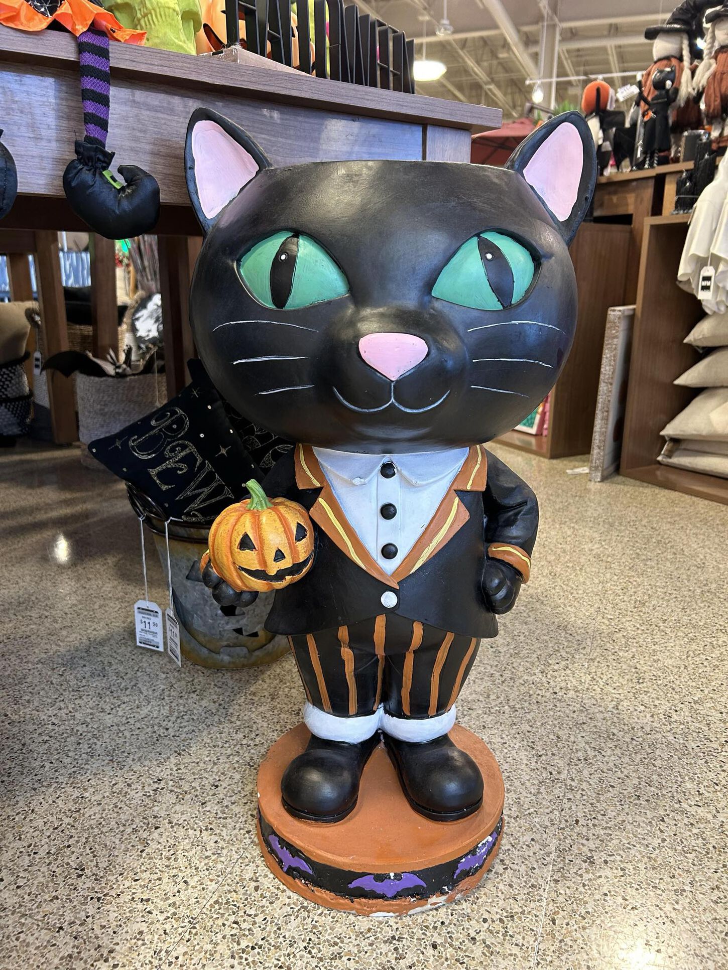Halloween cat