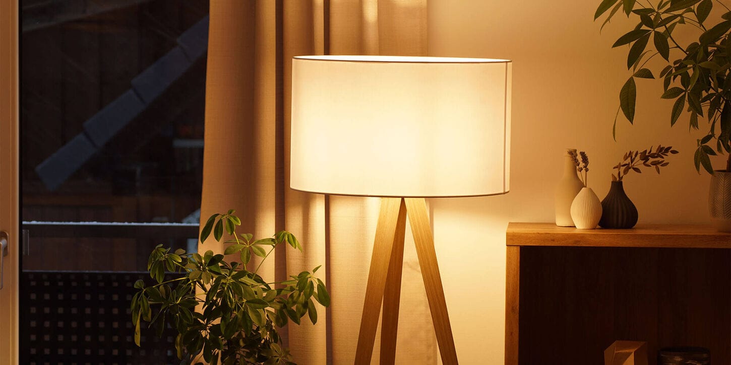 Bedroom with lamp near the window and plants