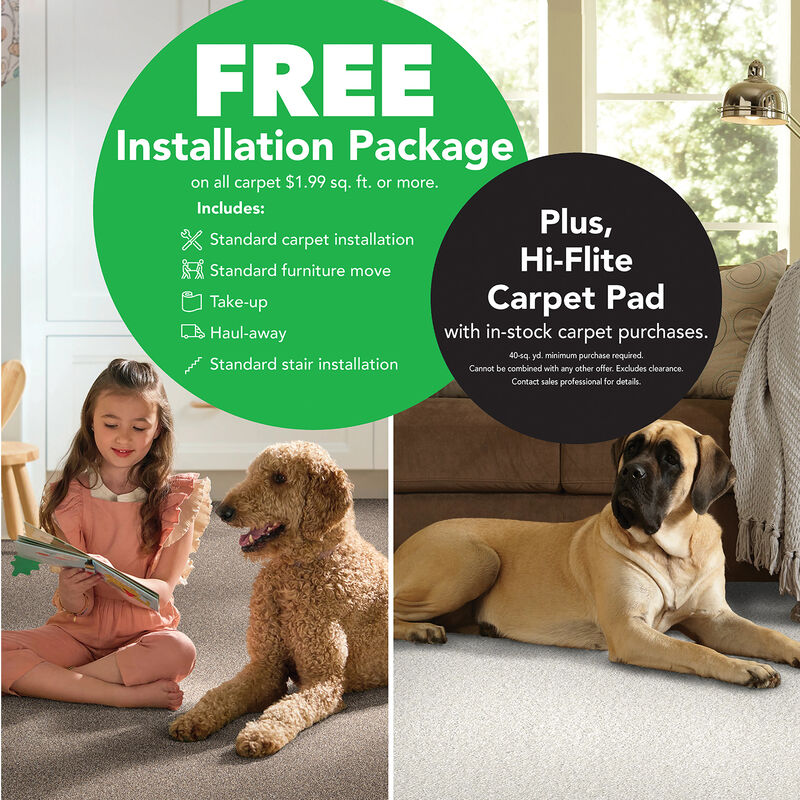two pictures side by side one with a girl and a dog and the second is a dor lying on a carpeted floor