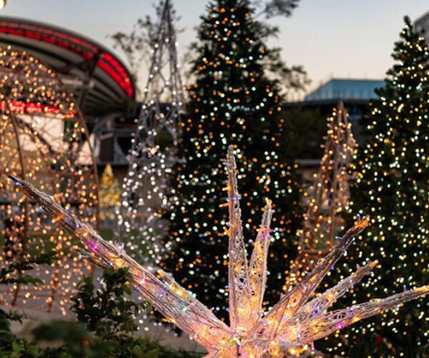 Various Christmas trees and holiday lights outside at Grandscape.