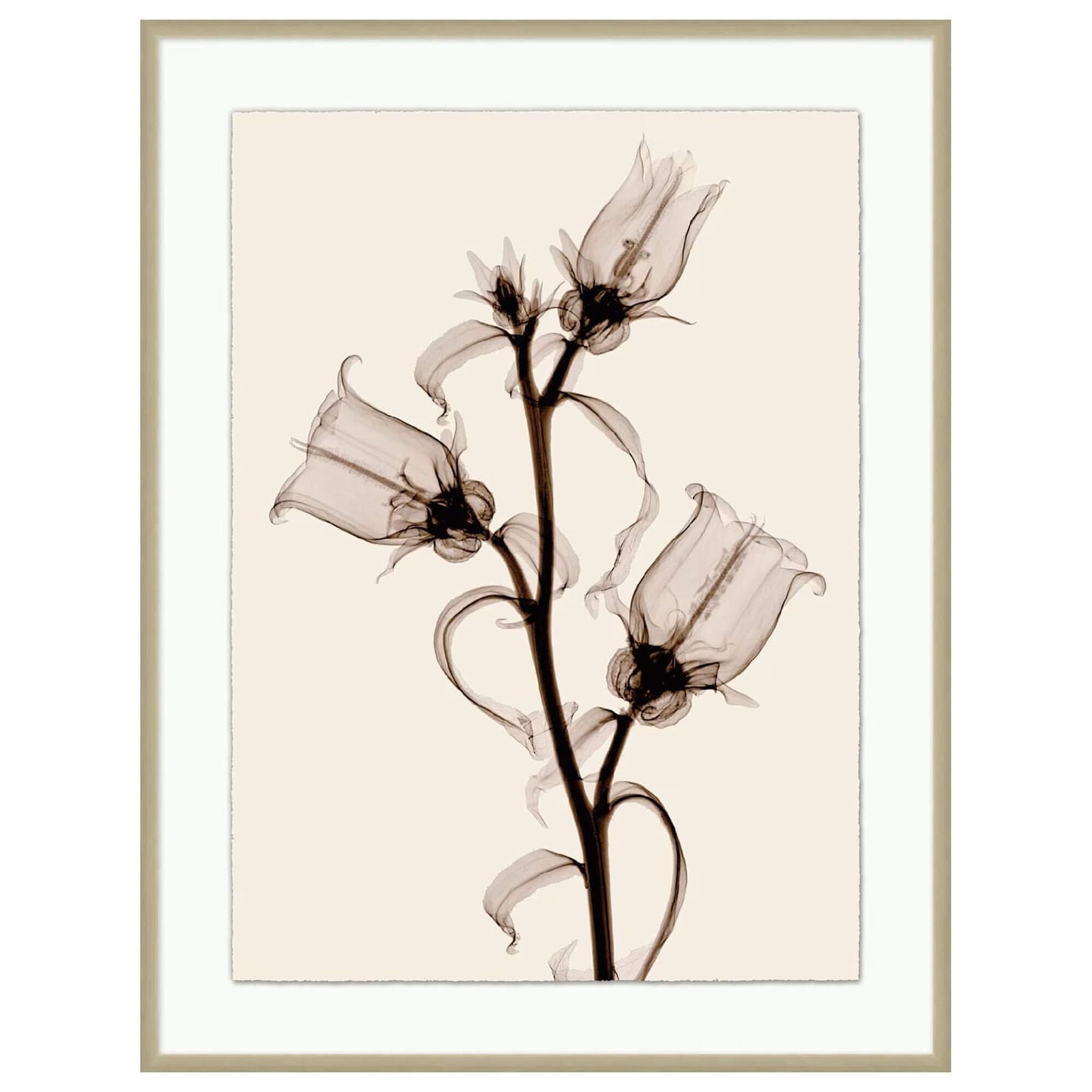 Wendover Art Sepia Floral 3 43.5" x 33.5" Wall Art in Warm Silver