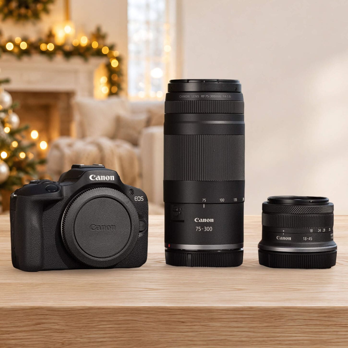 Canon EOS R100 Mirrorless Digital Camera