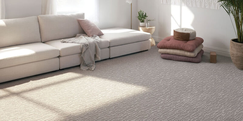 living room scene with carpet floors