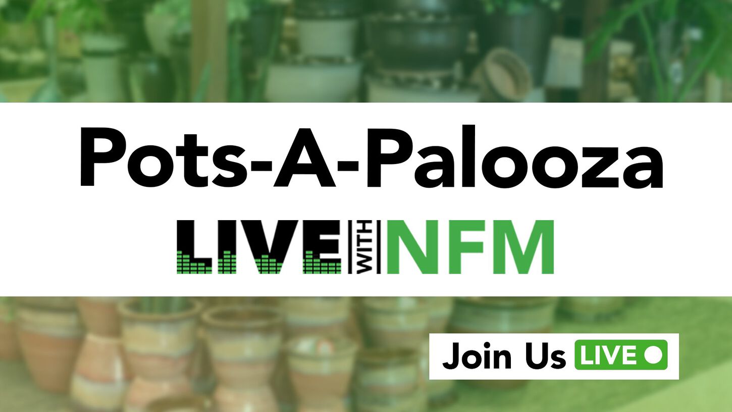 NFM Livestream