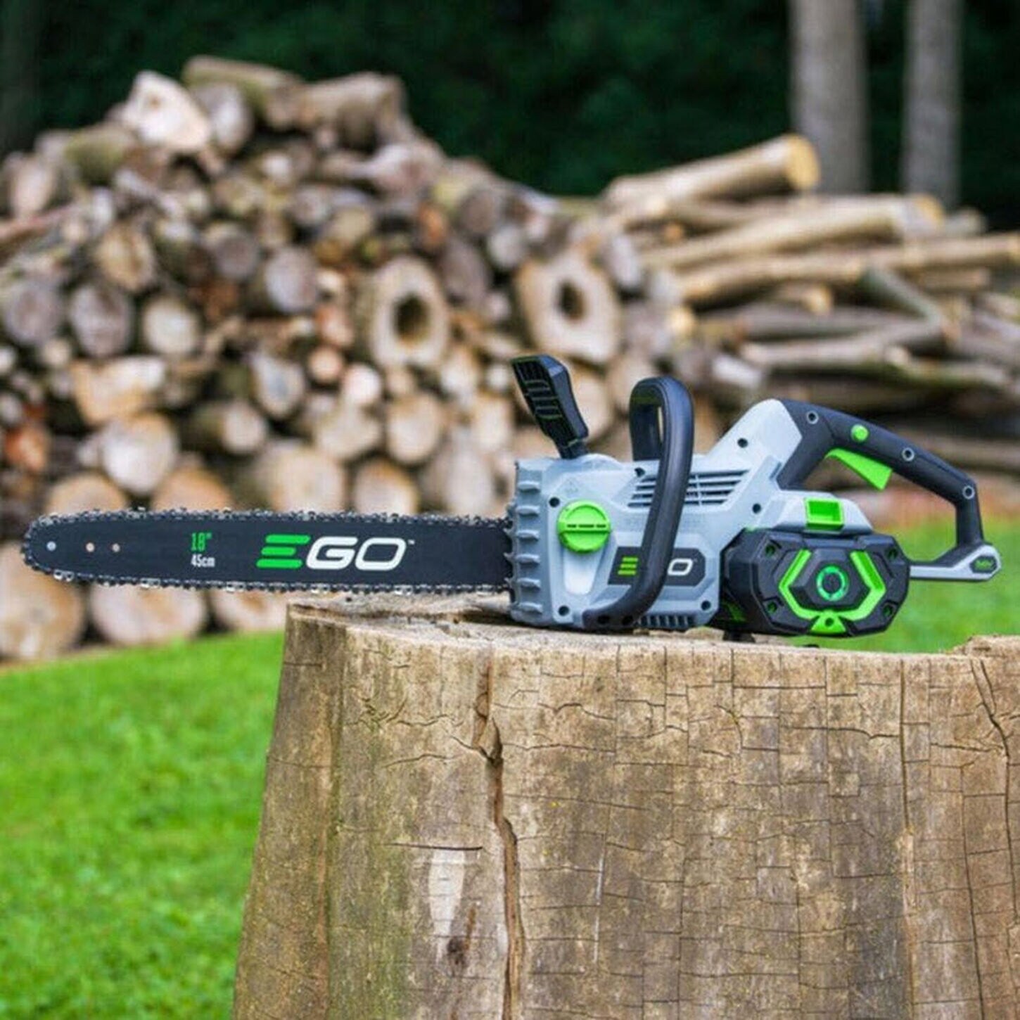 Ego Chainsaw on Tree Stump