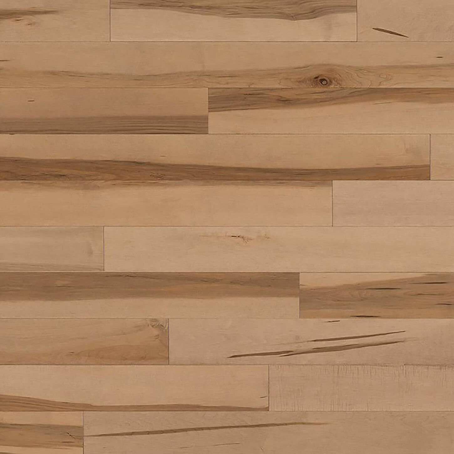 Paramount Forester Champagne 3 1/4" Maple Solid Hardwood