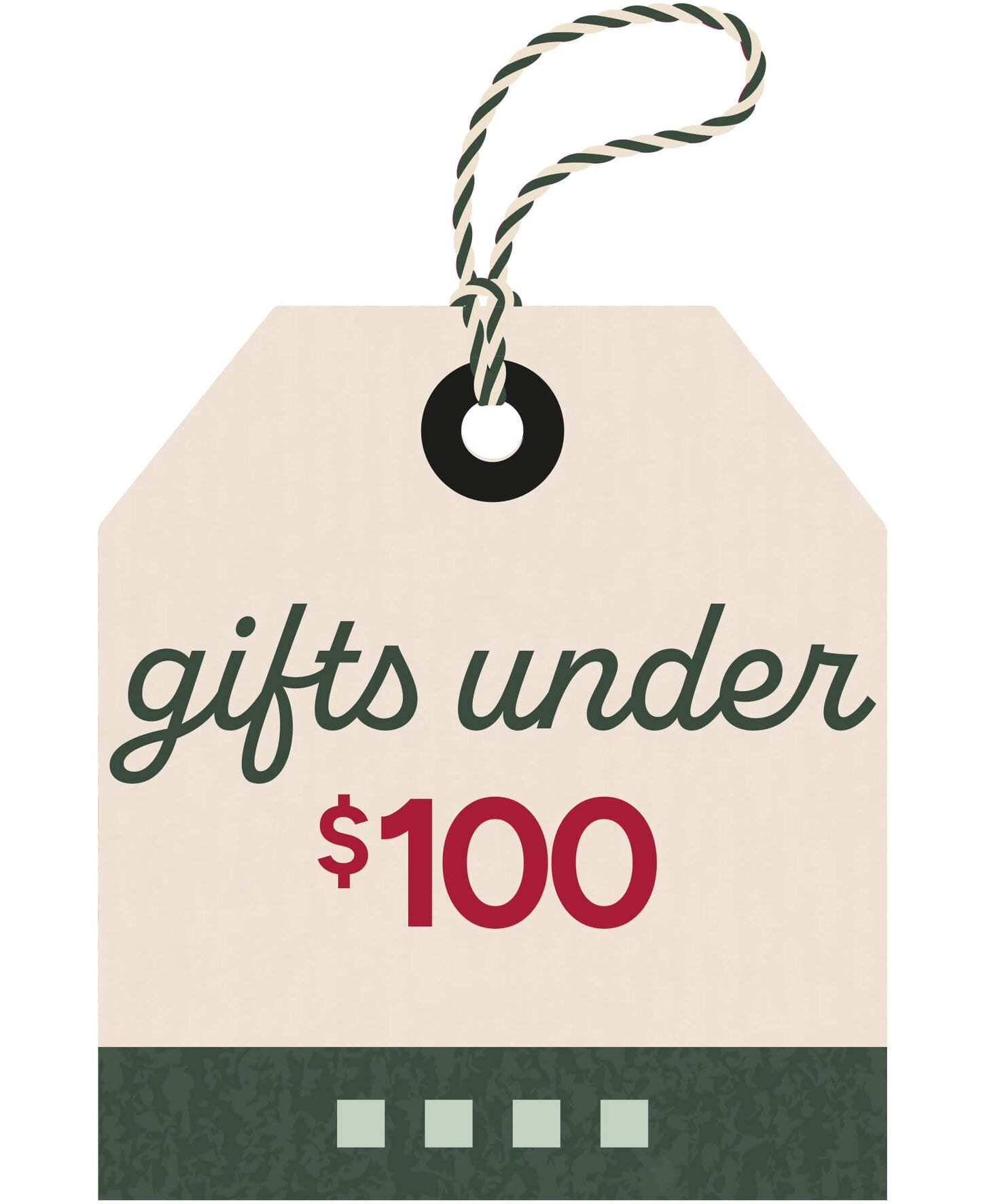 gifts under $100
