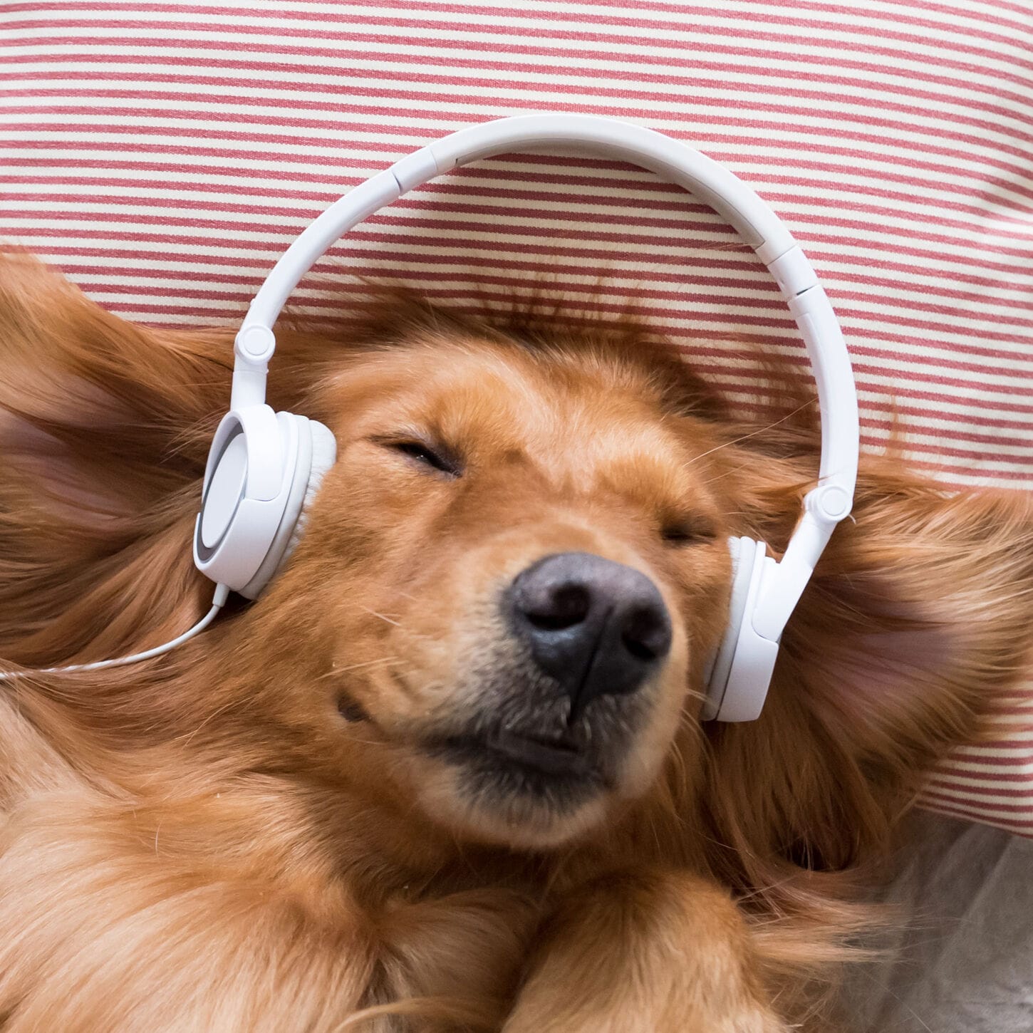 GE Profile 5 Cu. Ft. Top Load Impeller Washer and 7.4 Cu. Ft. Electric Dryer Laundry Pair in Diamond Gray