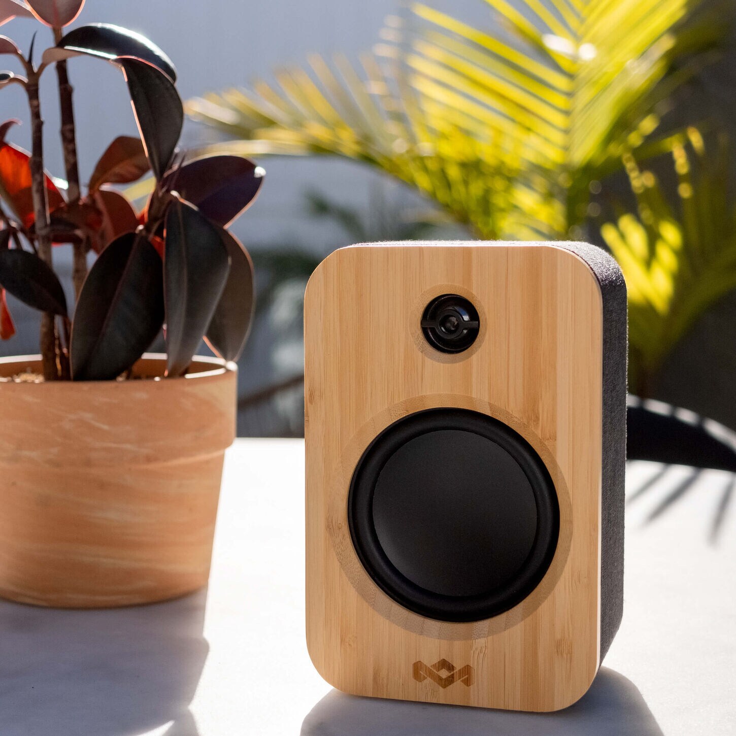Portable speaker in a neutral wood finish next to some outdoor plants