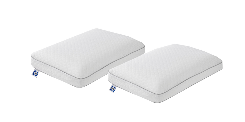 Two Sealy Molded Memory Foam Pillows