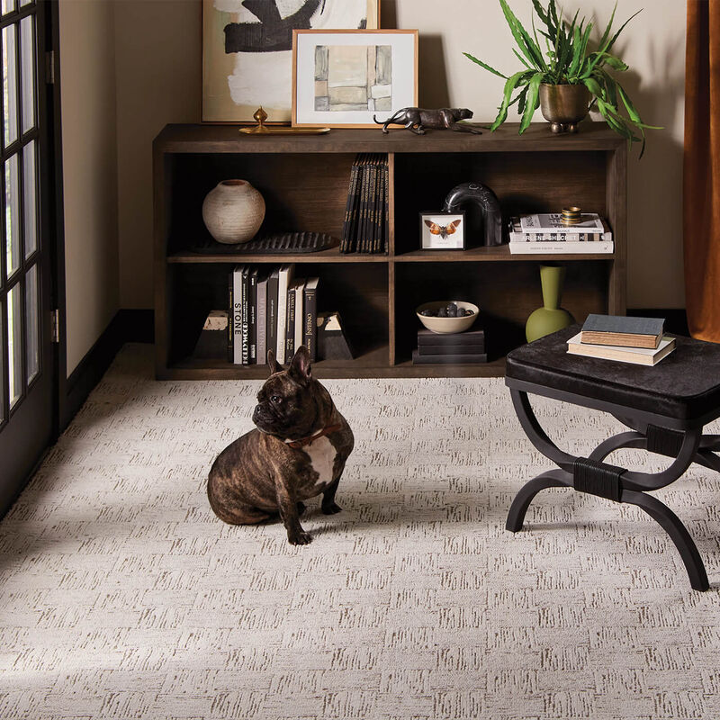 living room with a black and brown dog in the middle of a carpeted room with a wood shelf and a black foot stool