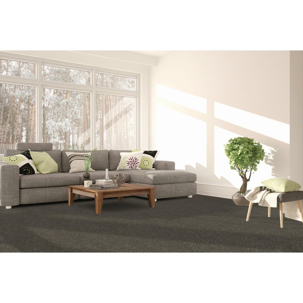 Dream Weaver Monte Carlo II Carpet in Rugby, , large