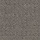Phenix Debut Carpet in Grand Opening, , large
