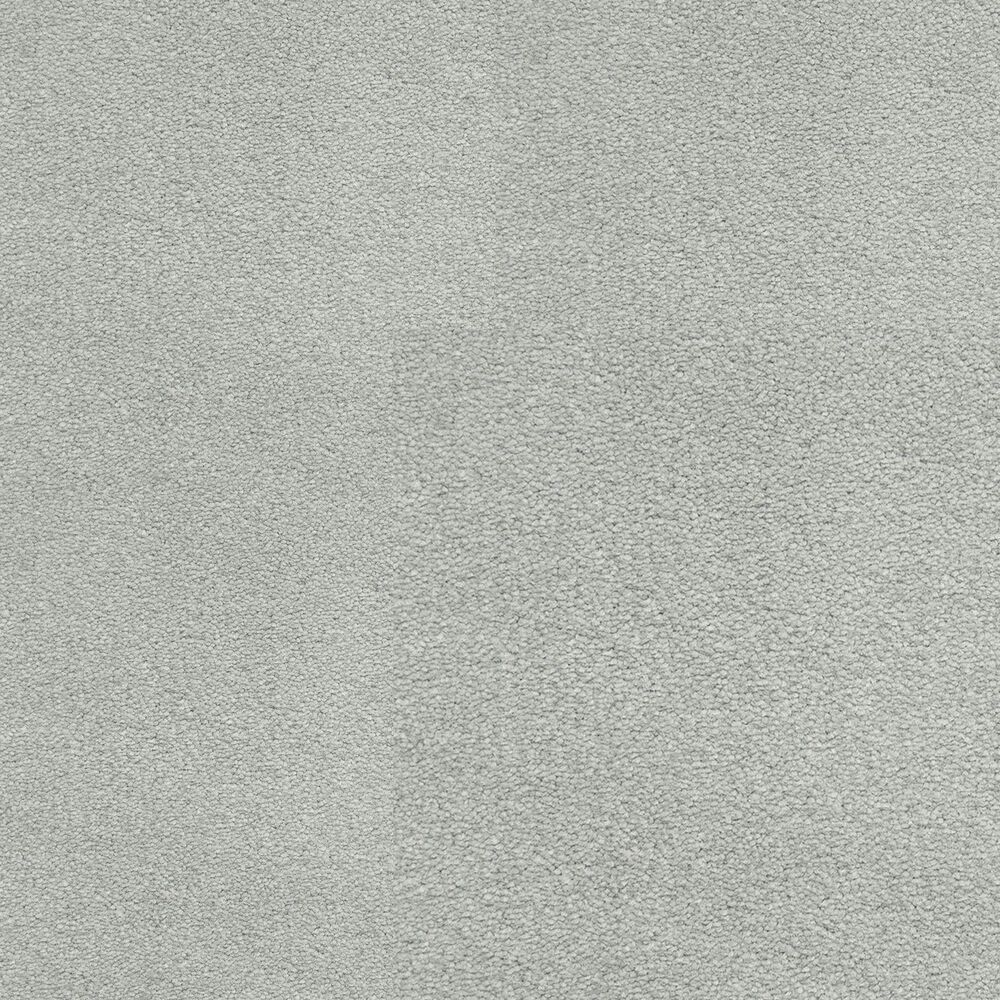 Dixie Home Neverland Carpet in Bermuda, , large