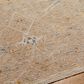 Surya Reina Light Brown, Tan, Denim, Rust, Olive, Light Gray, Cream and Mustard 9" x 12"2" Area Rug, , large