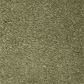 Mohawk Pleasant Touch Carpet in Hunter"s Glen, , large