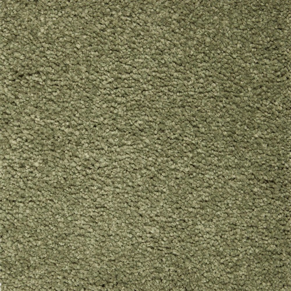 Mohawk Pleasant Touch Carpet in Hunter"s Glen, , large