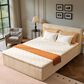 HOMLUX Plush Queen Mattress with Beige Headboard, , large