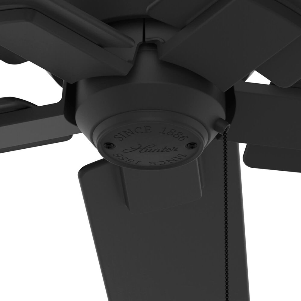 Hunter Terrace 44&quot; Outdoor Ceiling Fan in Matte Black, , large