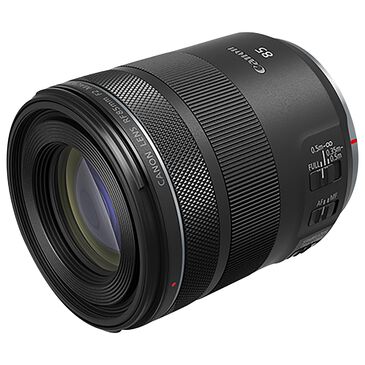 Canon RF 85mm f/2 Macro IS STM Lens in Black, , large