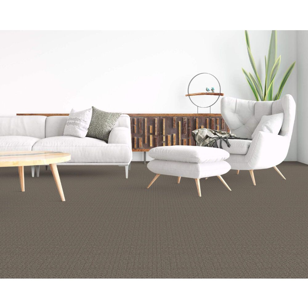 Dixie Home Affinity Carpet in Cobblestone, , large