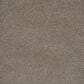 Dream Weaver Monte Carlo I Carpet in Umber, , large
