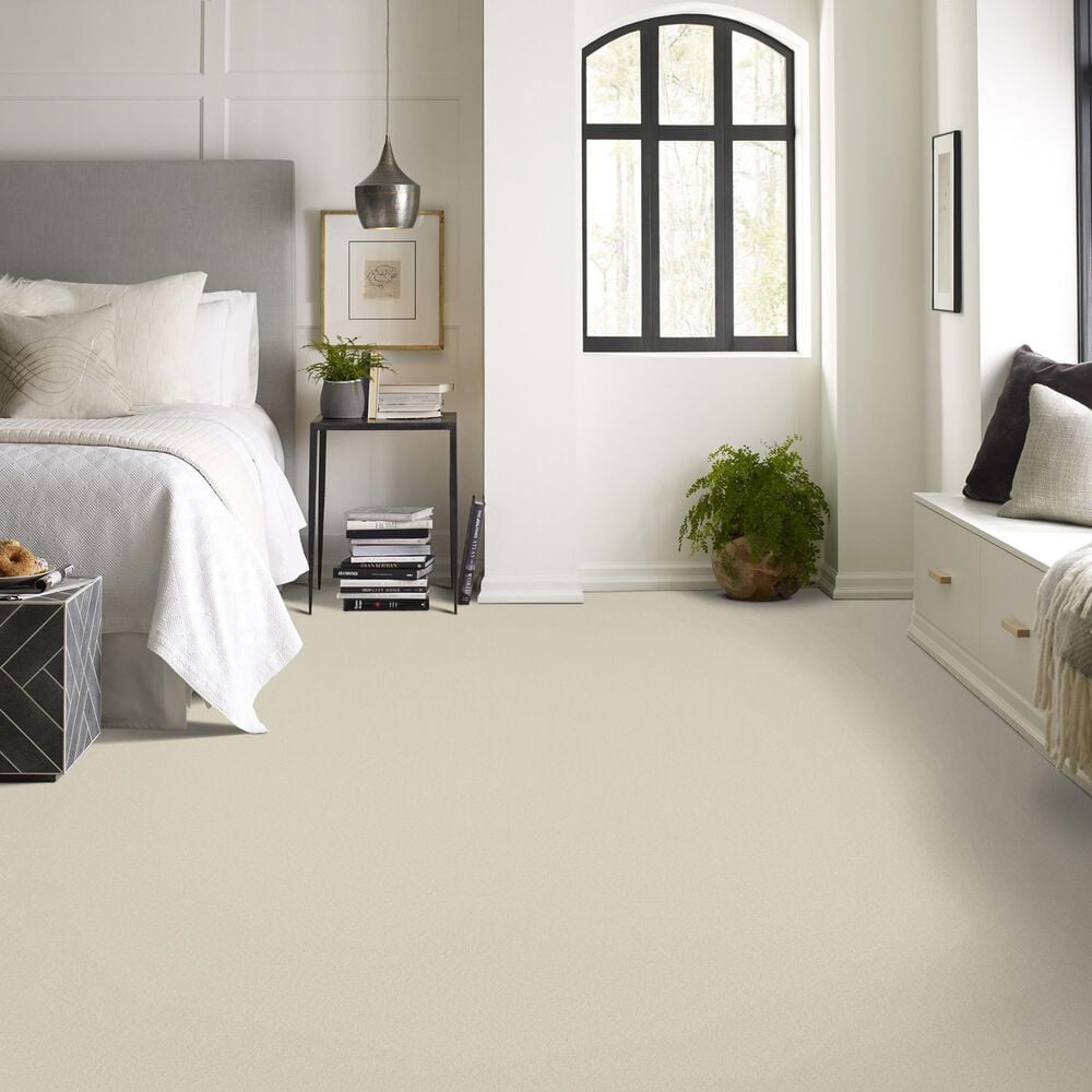 Anderson Tuftex Finery Carpet in Alabaster, , large