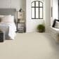 Anderson Tuftex Finery Carpet in Alabaster, , large