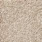 Shaw Find Your Comfort NS I Carpet in My Haven, , large
