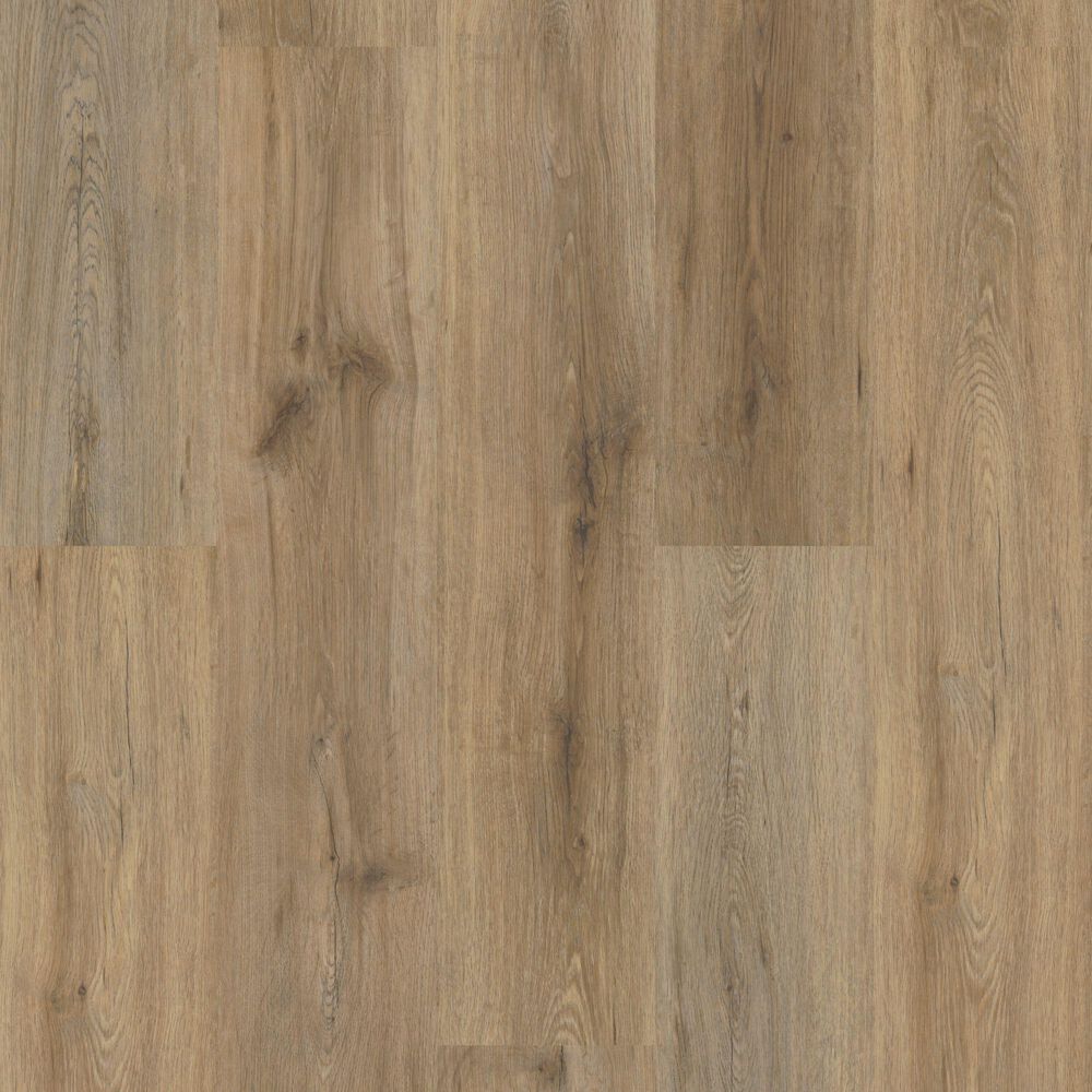 Shaw Paladin Plus 7" x 48" Vinyl Plank in Wild Dunes, , large
