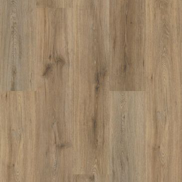 Shaw Paladin Plus 7" x 48" Vinyl Plank in Wild Dunes, , large