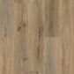 Shaw Paladin Plus 7" x 48" Vinyl Plank in Wild Dunes, , large