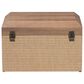 Baxton Studio Kande Storage Trunk with Hinged Top in Light Brown, Walnut and Bronze, , large