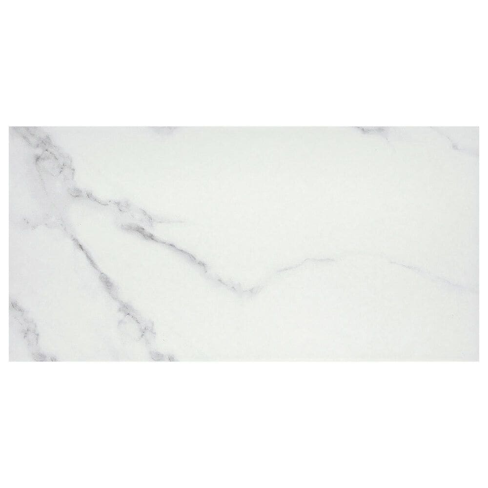 Emser Contessa Dama 12" x 24" Porcelain Tile, , large