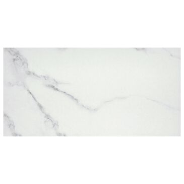 Emser Contessa Dama 12" x 24" Porcelain Tile, , large