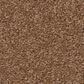 Anderson Tuftex Enduring Charm Carpet in Autumn Glaze, , large
