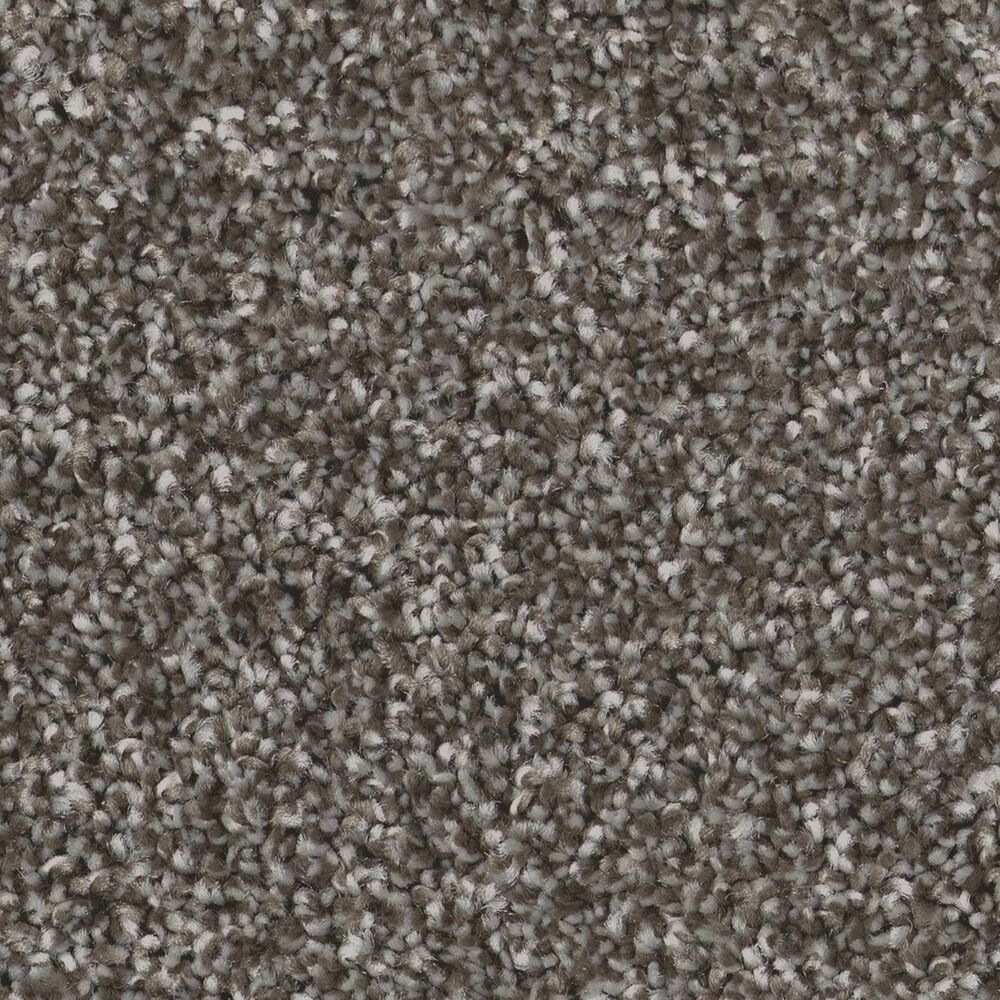 Shaw Imaginable II Carpet in Sparrow, , large