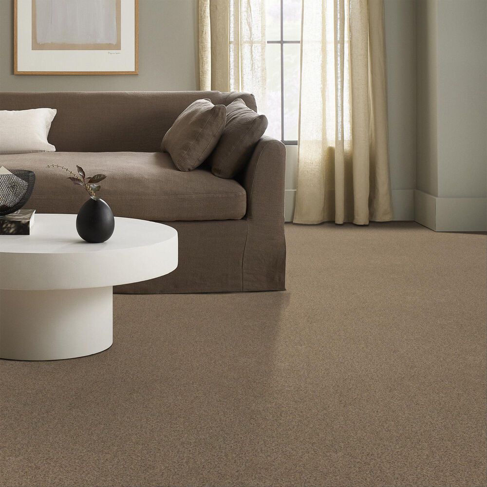 Anderson Tuftex West Peak Carpet in Terrazo, , large