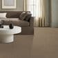 Anderson Tuftex West Peak Carpet in Terrazo, , large