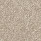 Shaw Hard At Play II Carpet in Natural, , large