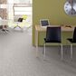 Anderson Tuftex Lavish Living Carpet in Minimal, , large