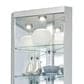 Howard Miller Tamsin II Curio Cabinet in Silver, , large