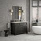 James Martin Vanities Brookfield 48" Single Bathroom Vanity in Black Onyx with 3 cm Victorian Silver Quartz Top and Rectangular Sink, , large
