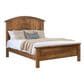 Briarwood American Timbers King Panel Bed in Turkish Coffee, , large