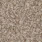Anderson Tuftex Terra Nova Carpet in Meditation, , large