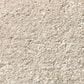 Shaw Well Grounded III 12" Carpet in Bleached, , large