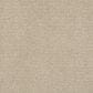 Shaw Sensible Now Carpet in High Noon, , large