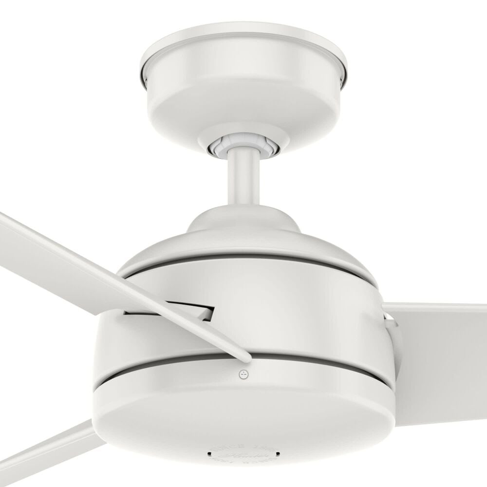 Hunter Trimaran 52&quot; Outdoor Ceiling Fan in Fresh White, , large