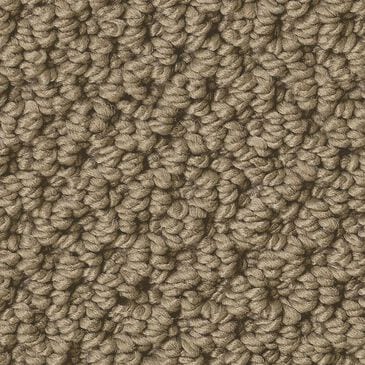 Anderson Tuftex Gracious Carpet in Vintage Brown, , large